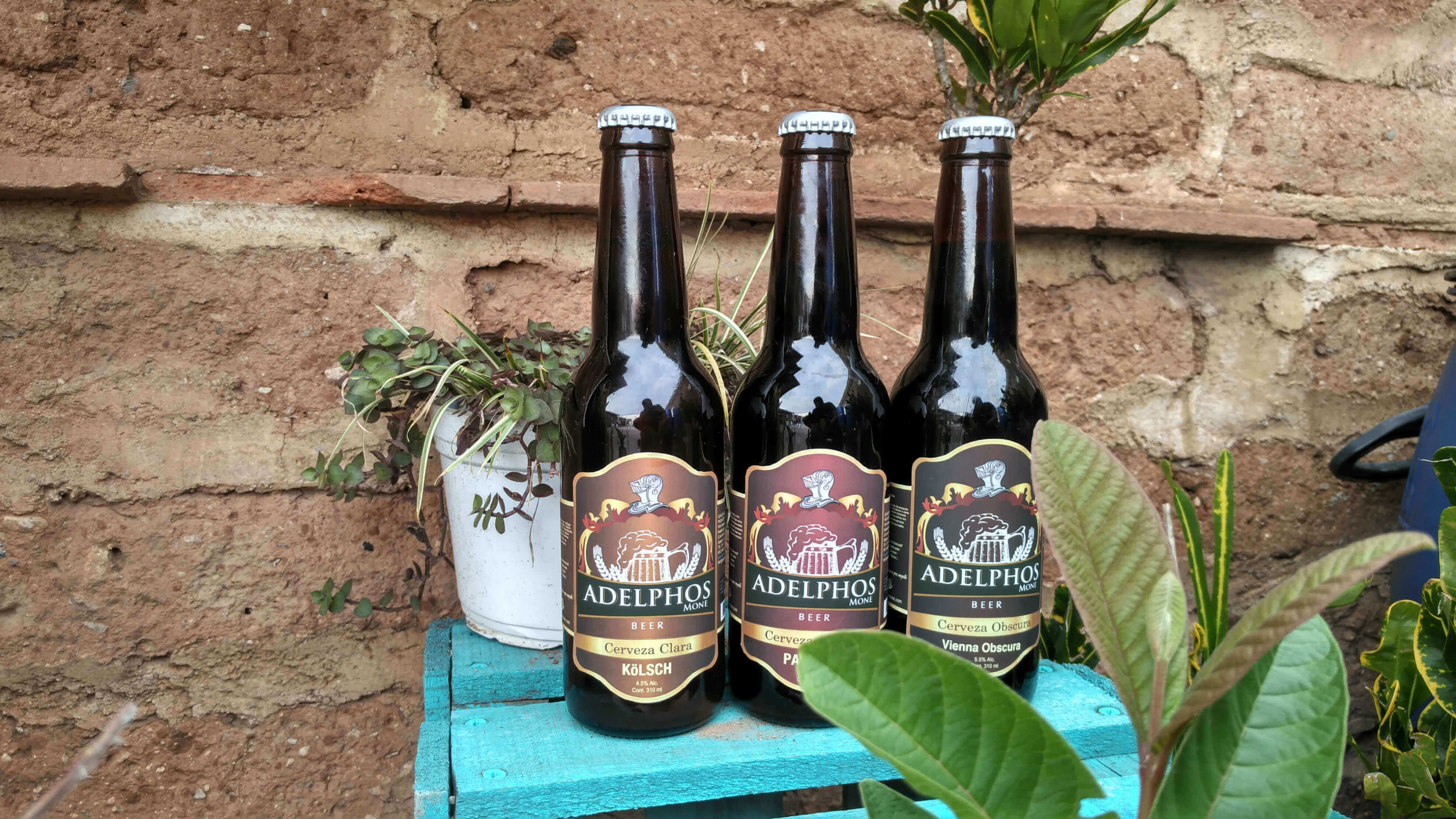 cerveza artesanal en jardin
